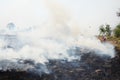 Thai People use branch and leaf extinguish Smoke and flames Royalty Free Stock Photo