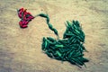 Thai pepper arranged in a heart shape in retro style Royalty Free Stock Photo