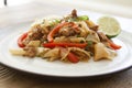 Thai Phad See Ew Royalty Free Stock Photo