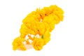 Thai Plastic Jasmine yellow garland Isolated Royalty Free Stock Photo