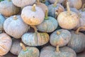 Thai pumpkins sale in market.