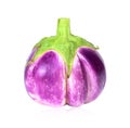 Thai purple eggplant isolated on white