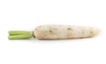 thai radish isolated background Royalty Free Stock Photo