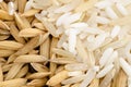 Thai rice seed and mix grain Royalty Free Stock Photo