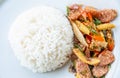 Thai sour pork or Nham fried Royalty Free Stock Photo