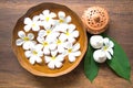 Thai Spa massage compress balls, herbal ball and treatment spa, relax and healthy care with flower, Thailand. Royalty Free Stock Photo