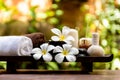 Thai Spa.  Massage spa treatment aroma for healthy wellness and relax. Royalty Free Stock Photo