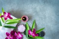 Thai Spa. Top view of hot stones setting for massage treatment and relax with purple orchid on blackboard with copy space. Royalty Free Stock Photo