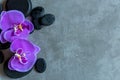 Thai Spa. Top view of hot stones setting for massage treatment and relax with purple orchid on blackboard with copy space. Royalty Free Stock Photo