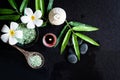 Thai Spa.  Top view of white Plumeria flower setting for massage treatment and relax on black blackboard with copy space. Royalty Free Stock Photo