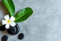 Thai Spa. Top view of white Plumeria flower setting for massage treatment and relax on concrete blackboard with copy space. Gree Royalty Free Stock Photo