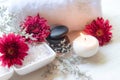 Thai Spa Treatments aroma therapy salt and sugar scrub and rock massage with red flower with candle for relax time Royalty Free Stock Photo