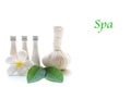 Thai Spa Treatments and massage flower on wooden and white background, banner, copy space. Royalty Free Stock Photo