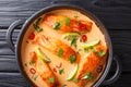 Thai spicy coconut curry with salmon close-up in a frying pan. horizontal top view