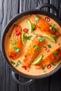 Thai spicy coconut curry with salmon close-up in a frying pan. Vertical top view