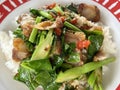 thai spicy fried crispy pork with vegetables Royalty Free Stock Photo