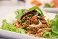 Thai Spicy minced meat salad with beans and chili