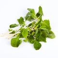 Thai Spinach Royalty Free Stock Photo