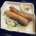 Thai spring rolls Royalty Free Stock Photo