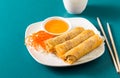 Thai Spring Rolls Royalty Free Stock Photo
