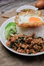 Thai Stir fried  basil with minced pork, chili and fried egg on topped rice. Royalty Free Stock Photo