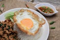 Thai Stir fried  basil with minced pork, chili and fried egg on topped rice. Royalty Free Stock Photo