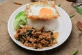 Thai Stir fried  basil with minced pork, chili and fried egg on topped rice. Royalty Free Stock Photo