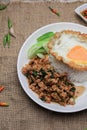 Thai Stir fried  basil with minced pork, chili and fried egg on topped rice. Royalty Free Stock Photo