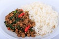 Thai stir-fried pork and basil served with rice.