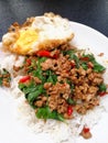 Thai street food is hot spicy red chilli chop and green basil leaves ingredient minced pork on stream white jasmine rice and fry e