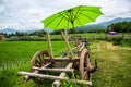 Thai style cart with rice field Royalty Free Stock Photo