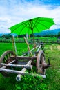 Thai style cart with rice field Royalty Free Stock Photo