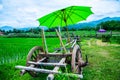 Thai style cart with rice field Royalty Free Stock Photo