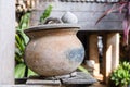 Thai style ceramic, traditional terracotta water jar is used for drinking water