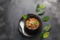 Thai style coconut milk soup-Tom Kha Gai with chicken, mushrooms, galangal, lime leaves, lemongrass, chili peppers. Royalty Free Stock Photo