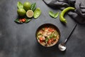 Thai style coconut milk soup-Tom Kha Gai with chicken, mushrooms, galangal, lime leaves, lemongrass, chili peppers Royalty Free Stock Photo