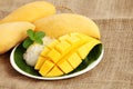 Thai style dessert, mango with glutinious rice on burlap background