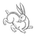 Thai style line drawing rabbit
