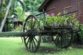 Thai style wooden cart Royalty Free Stock Photo
