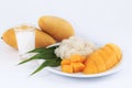 Thai Sweet Sticky Rice with Mango. Thai style tropical dessert.