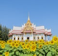 Thai temple with sunflower field Royalty Free Stock Photo