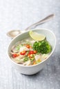 Thai tom kha gai soup Royalty Free Stock Photo