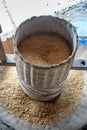 Thai Traditional Rice Milling with a Wooden Mortar and Pestle.. An Ancient Rice Mortar Paddy at the Village