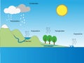 Thai water cycle