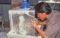 Thai Weaver at Work in Chiang Mai