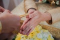 Thai wedding. Vegetable, recipe