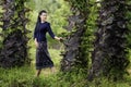 Thai woman in the countryside traditional costume portrait under the sugar palm trees row Royalty Free Stock Photo