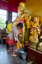 Thai Woman glid cover angel statue with gold leaf at Phra Kal Sh Royalty Free Stock Photo