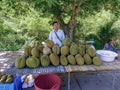 A roadside stall in southern Thailand Royalty Free Stock Photo