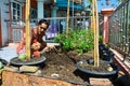 Thai women people working hobby small gardening growing tree fruits vegetables and cultivating herb plants horticulture in gardens